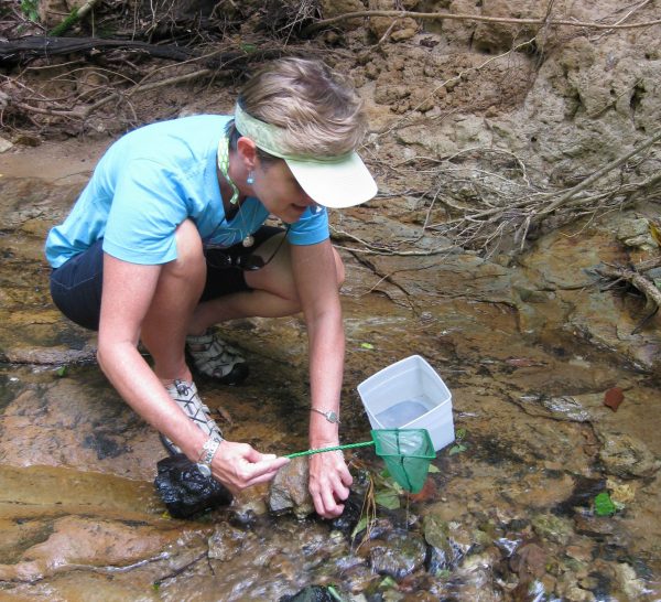 Learning how to monitor stream quality by identifying aquatic insects that need clean water to survive. Photo courtesy of ERP.
