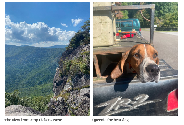The view from atop Pickens Nose (left) and Queenie the bear dog (right)